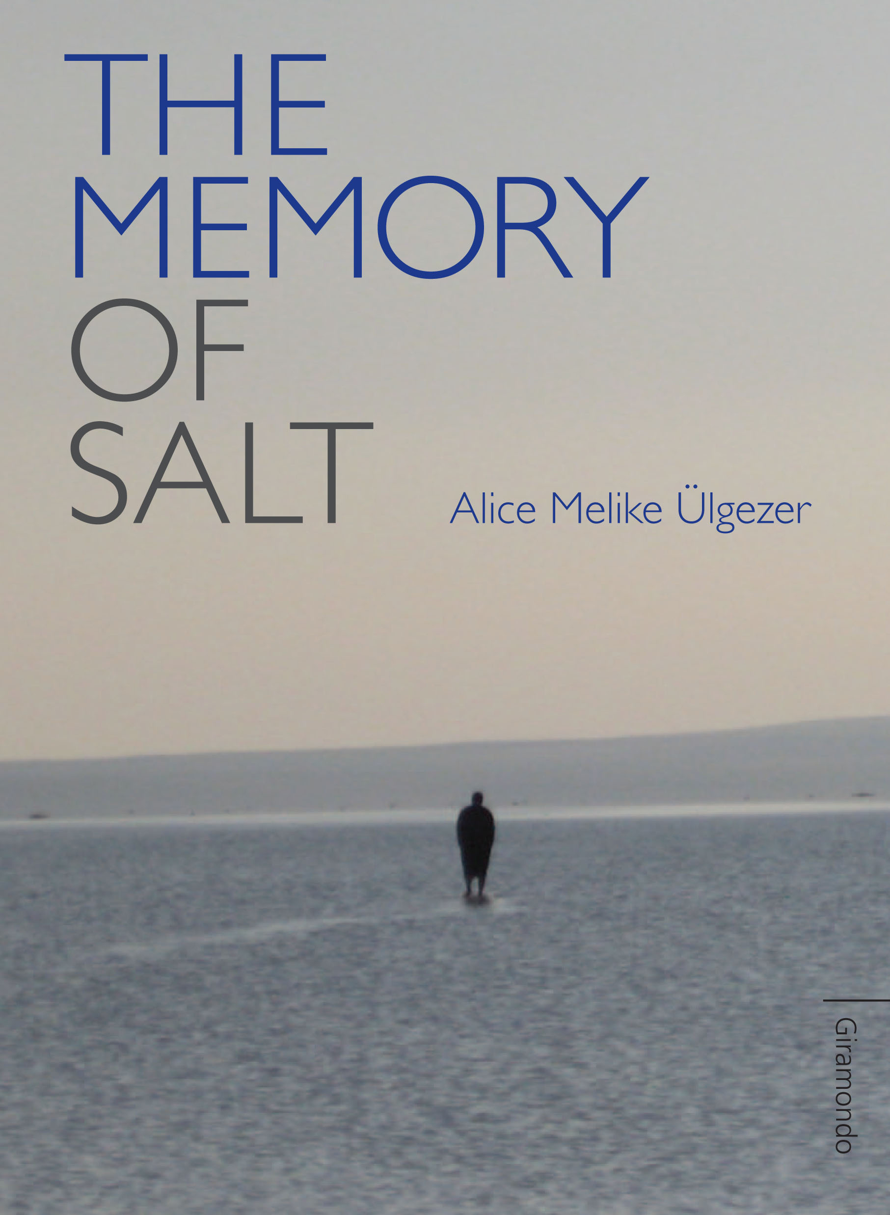 The Memory of Salt