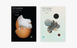 Pip Adam: fiction bundle